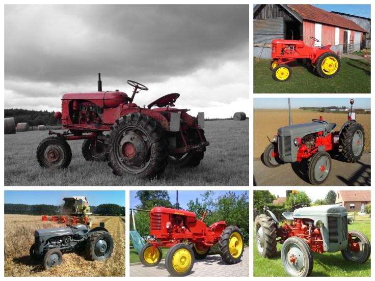 Collage_Fotor-mh-ferg