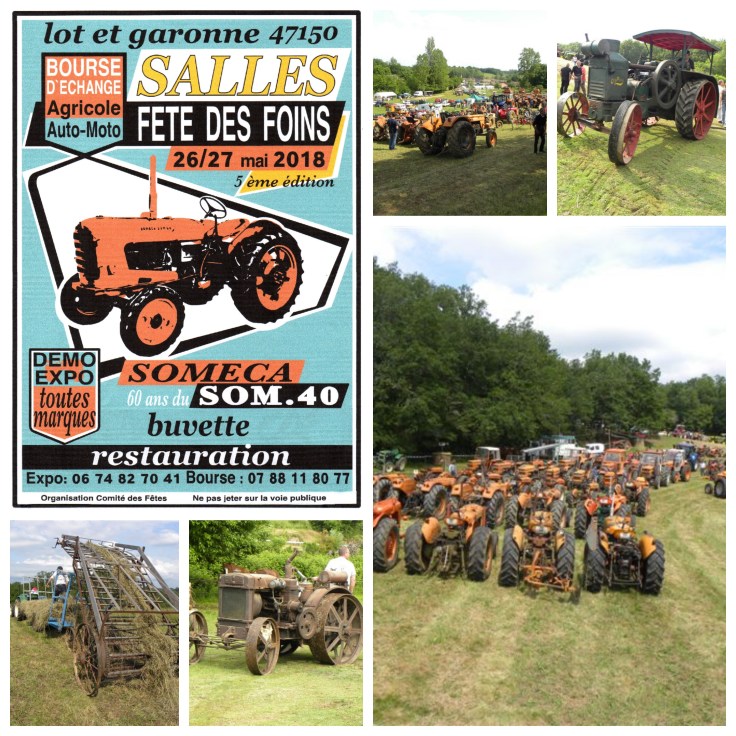 Collage_Fotor-fete_des_foins